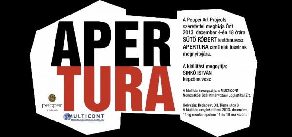 suto_robert_apertura_meghivo_web